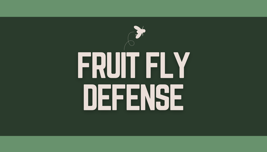 A New Era in Fruit Fly Defense: Natural Solutions That Work