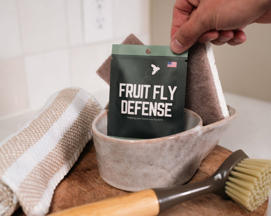 How to Get Rid of Fruit Flies in Your Kitchen