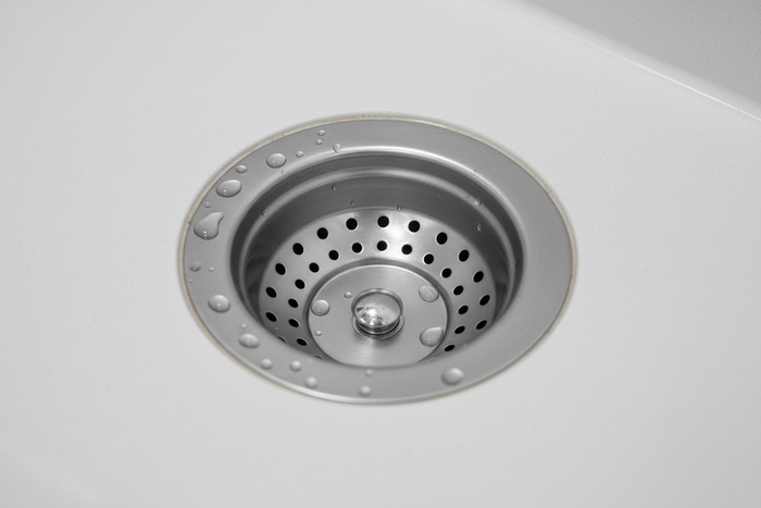 Fruit flies in your drain: what's really happening and what to do