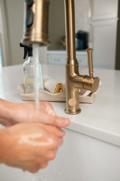 Fruit Fly Defense - POWER UP PACK