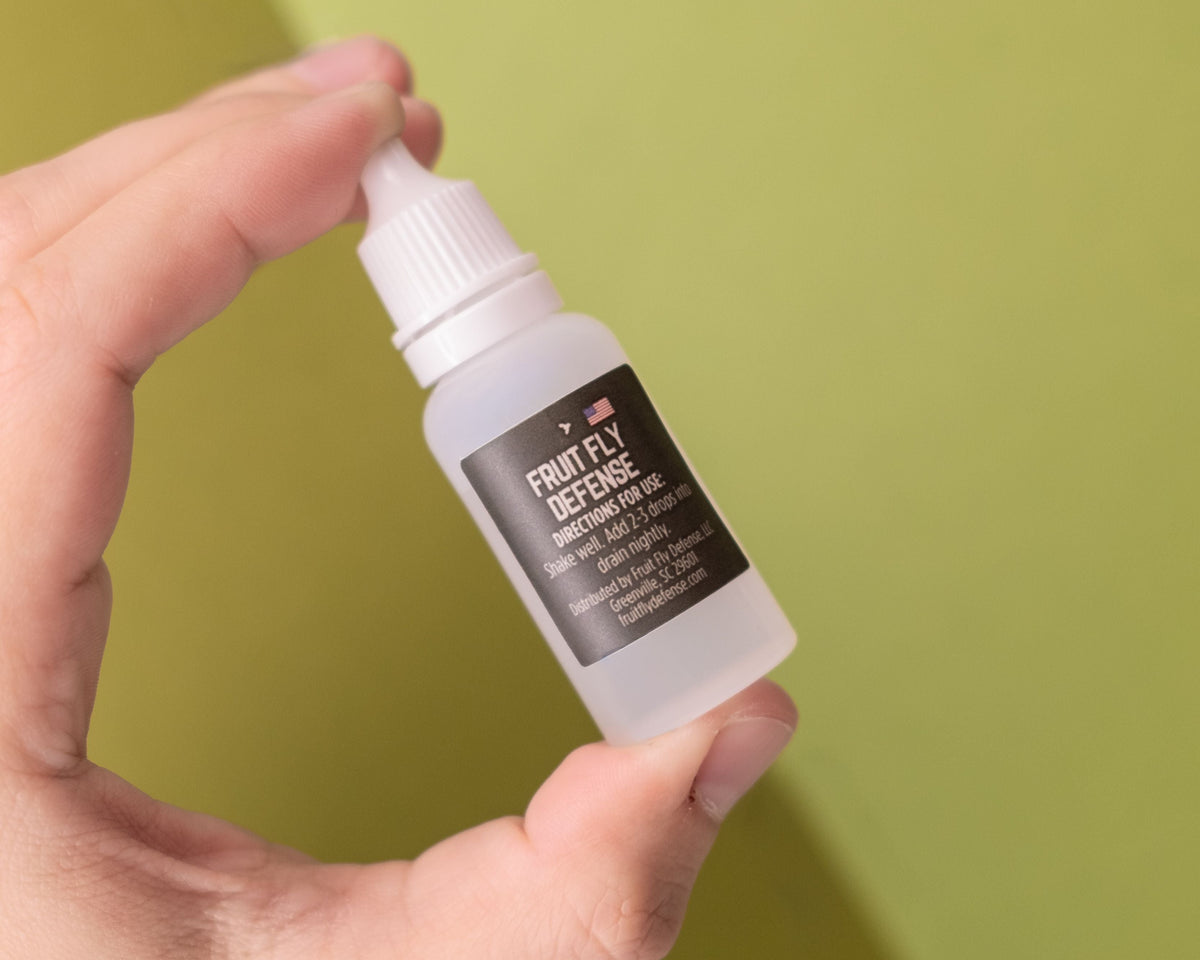 Hand holding Fruit Fly Defense Sink Drops bottle — organic peppermint and cedarwood fruit fly drain repellent