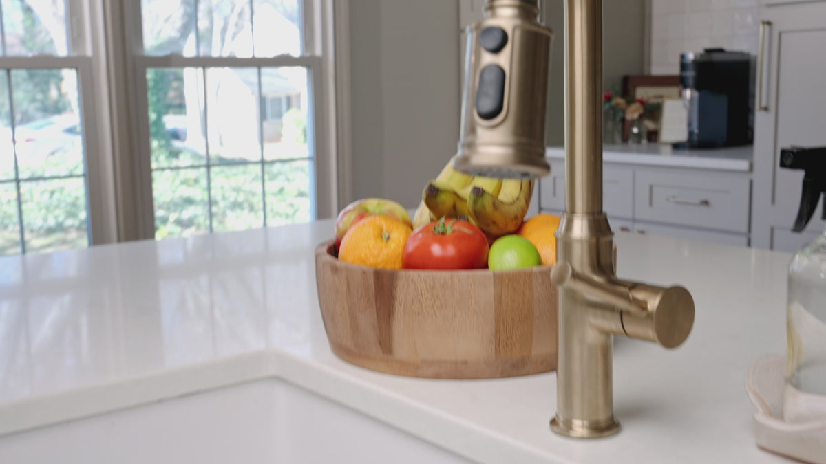 Video showing the Fruit Fly Defense Combo Pack protecting a kitchen from fruit flies using deterrent discs and Sink Drops together